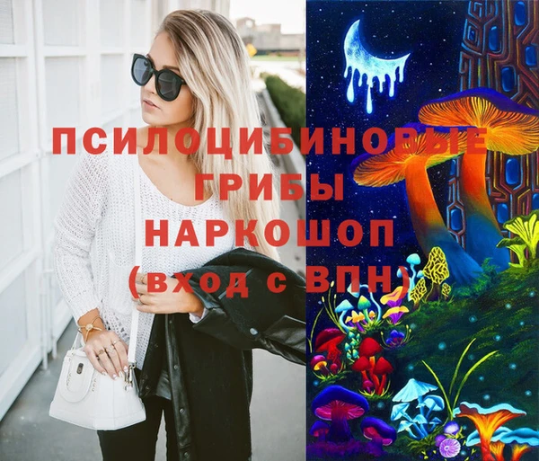 крисы Володарск